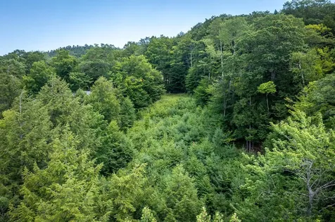 37 Low Road Hanover NH 03755