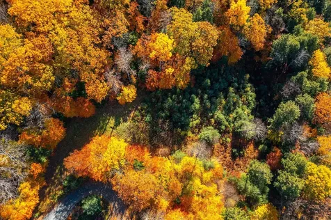 37 Low Road Hanover NH 03755