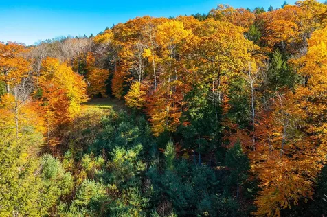 37 Low Road Hanover NH 03755