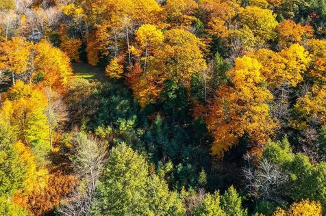 37 Low Road Hanover NH 03755