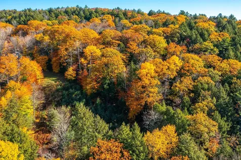 37 Low Road Hanover NH 03755