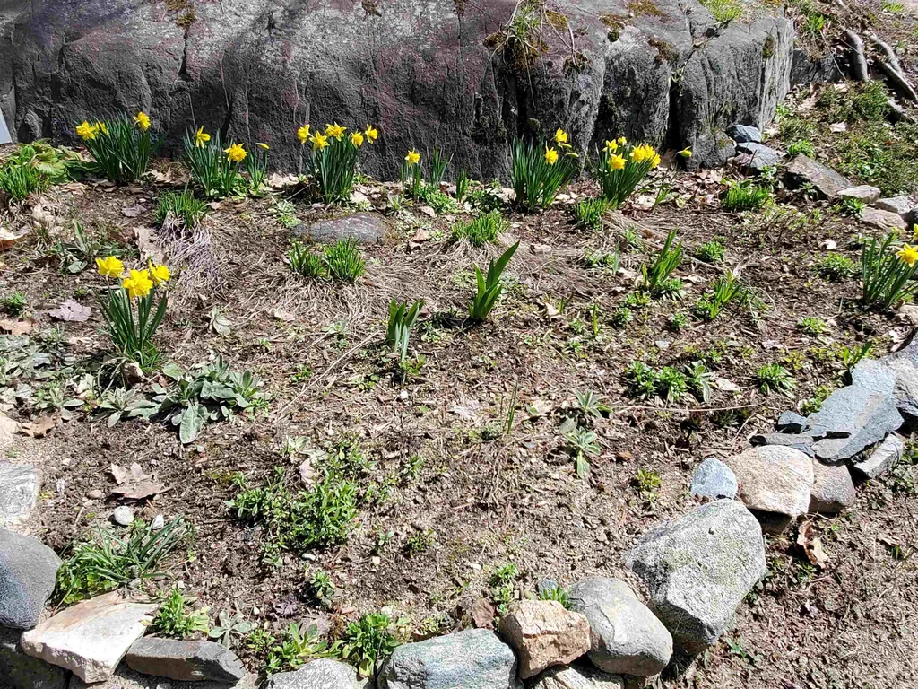 20 Follansbee Road Canaan NH 03741