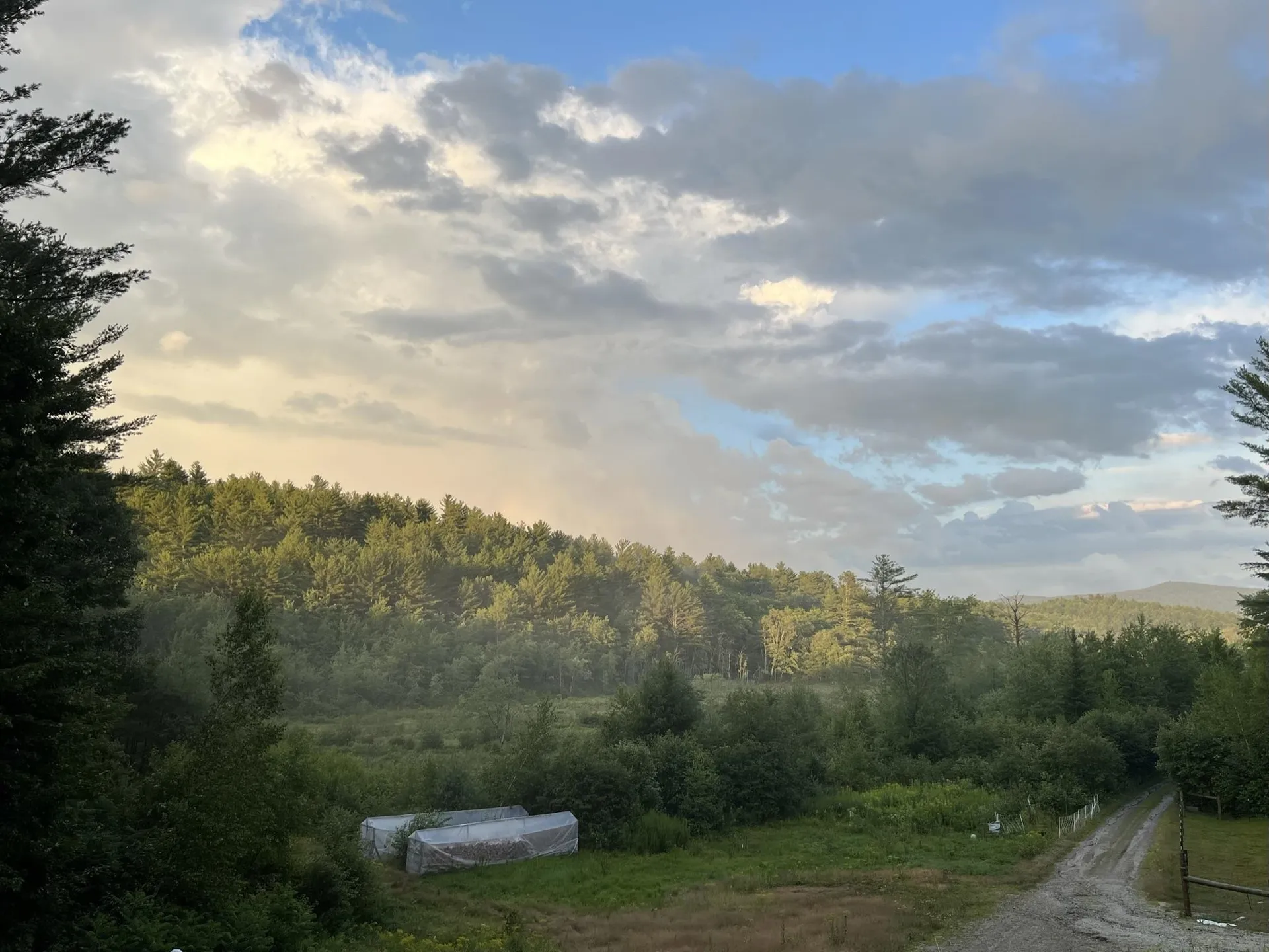 55 Sheldon Road Danbury NH 03230