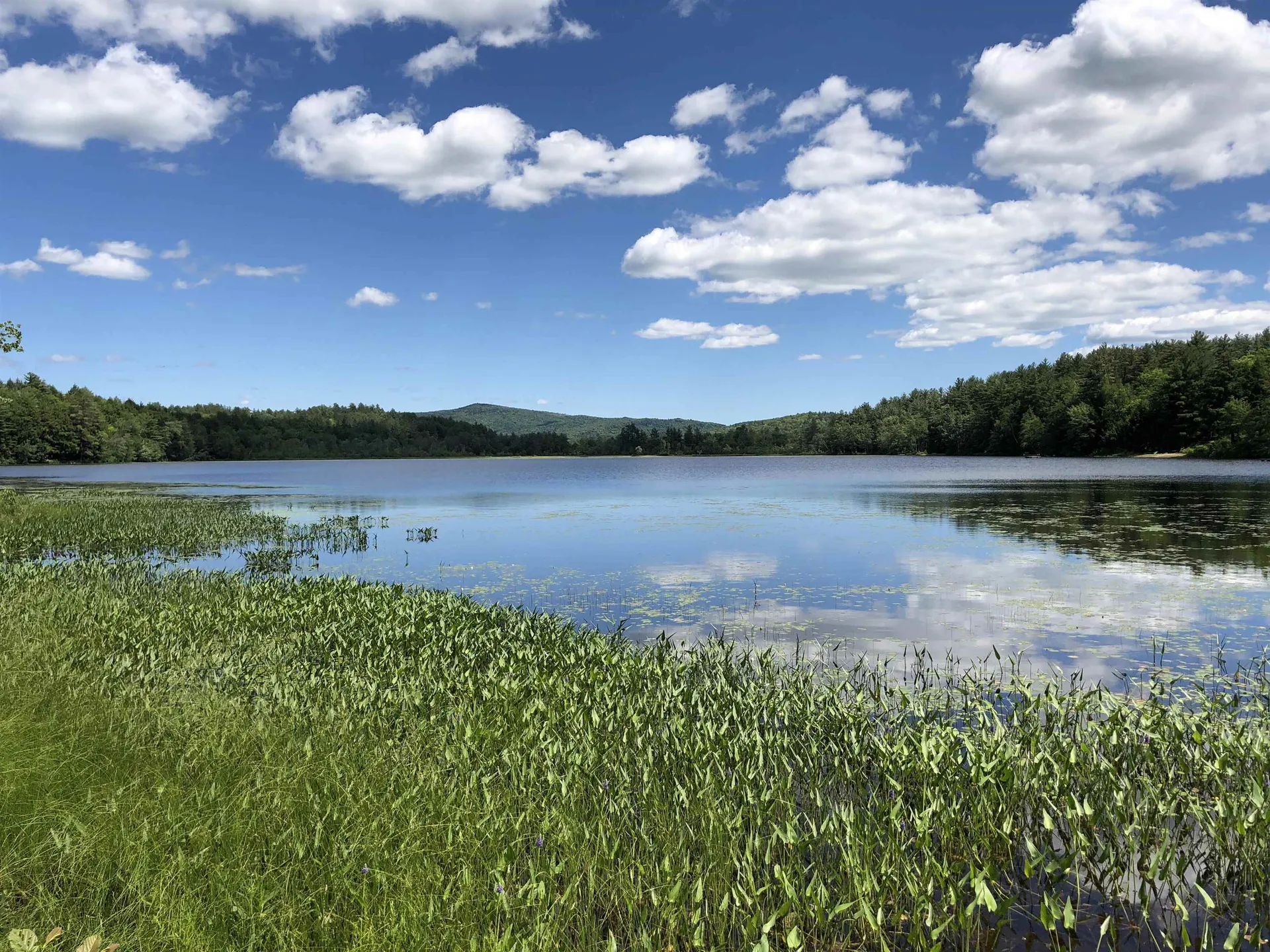 55 Sheldon Road Danbury NH 03230