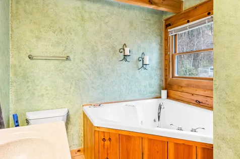 55 Sheldon Road Danbury NH 03230