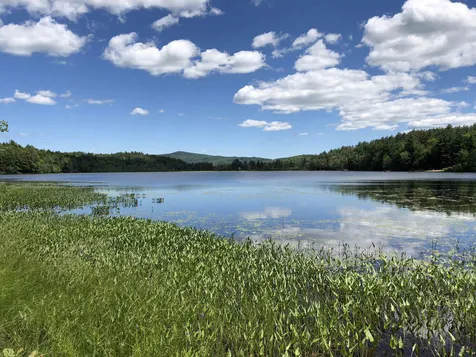 55 Sheldon Road Danbury NH 03230