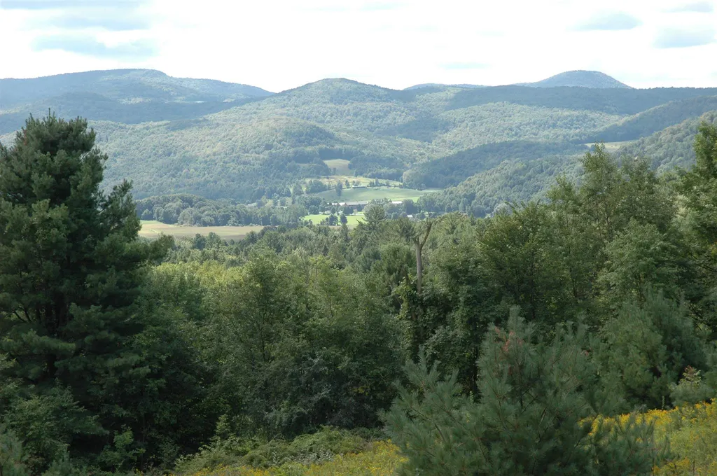 710 Herrick Brook Road Pawlet VT 05761