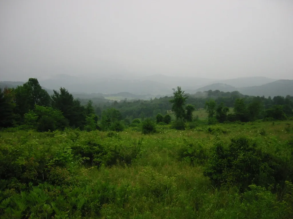 710 Herrick Brook Road Pawlet VT 05761