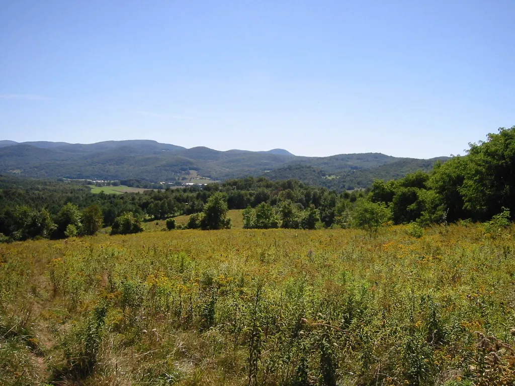 710 Herrick Brook Road Pawlet VT 05761
