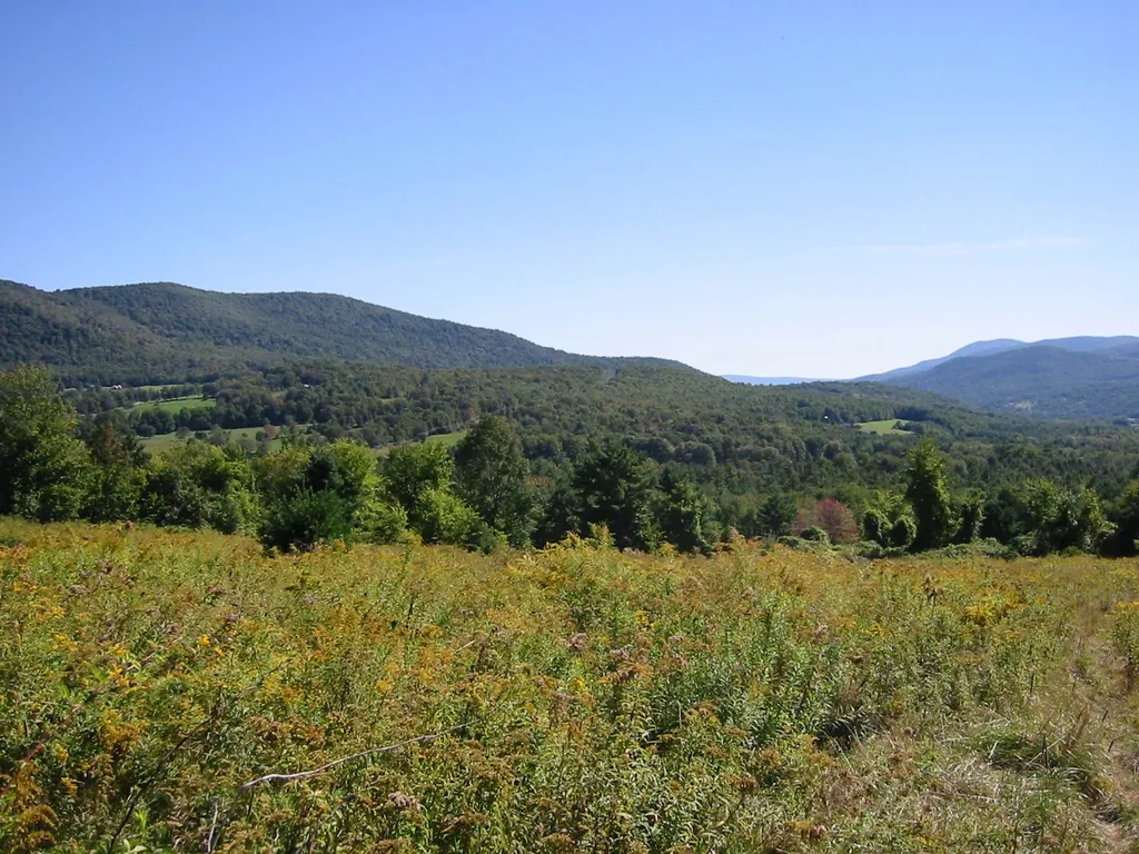 710 Herrick Brook Road Pawlet VT 05761
