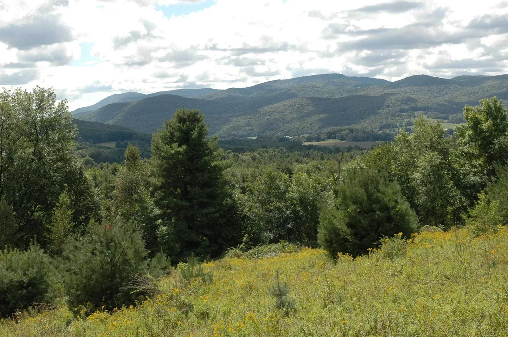 710 Herrick Brook Road Pawlet VT 05761