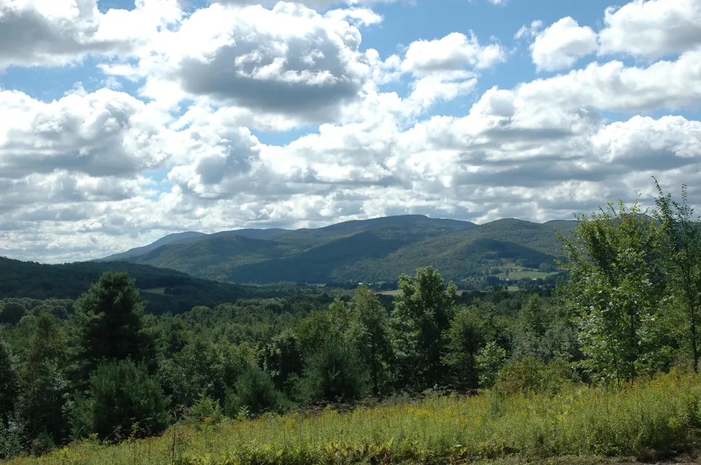 710 Herrick Brook Road Pawlet VT 05761