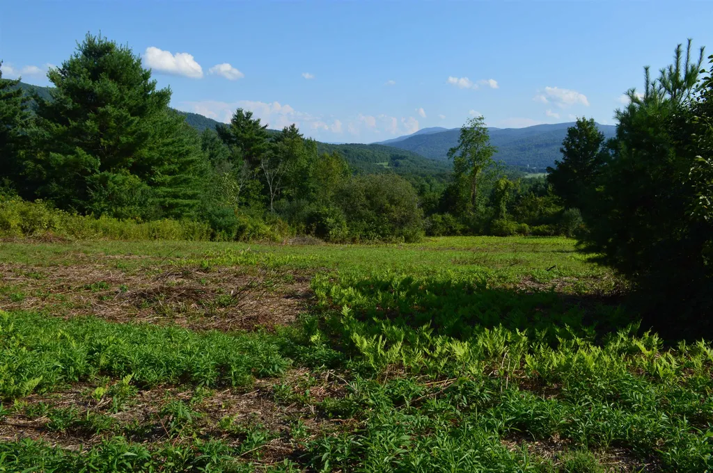 710 Herrick Brook Road Pawlet VT 05761