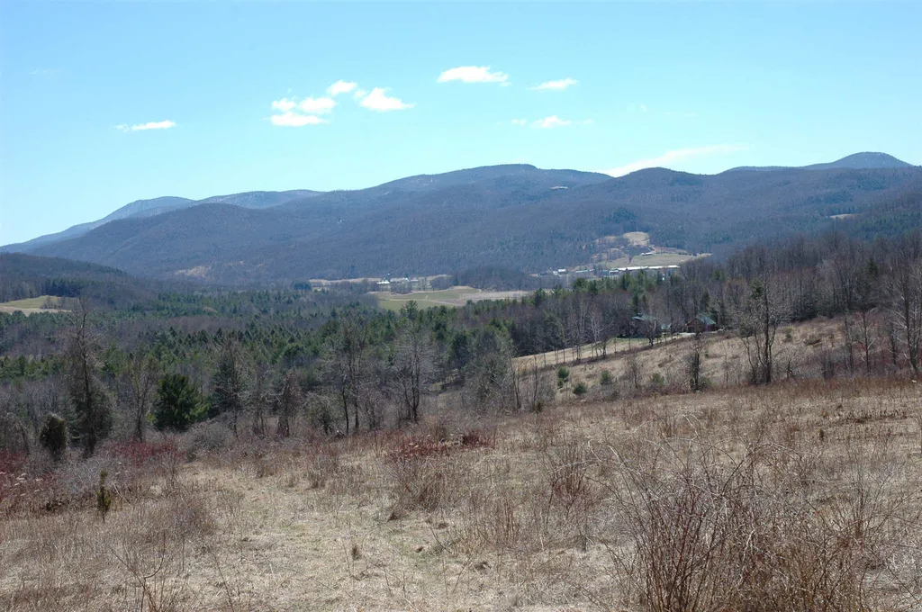 710 Herrick Brook Road Pawlet VT 05761