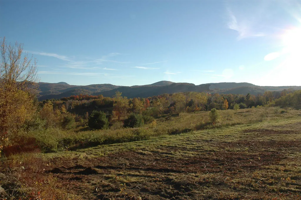 710 Herrick Brook Road Pawlet VT 05761