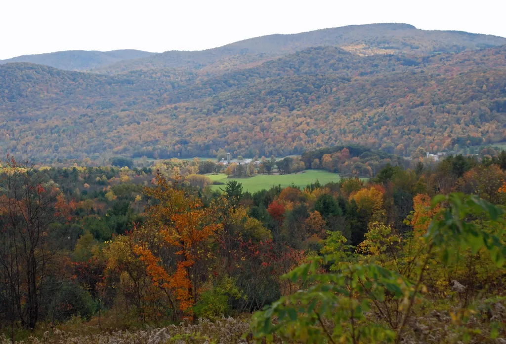 710 Herrick Brook Road Pawlet VT 05761