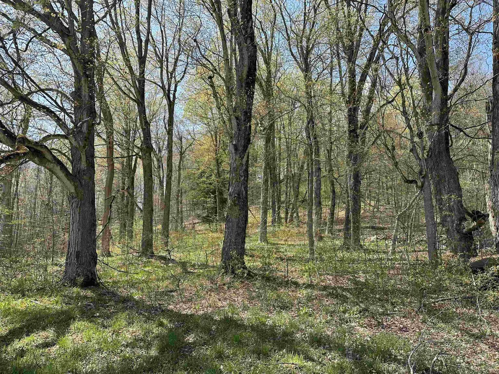710 Herrick Brook Road Pawlet VT 05761