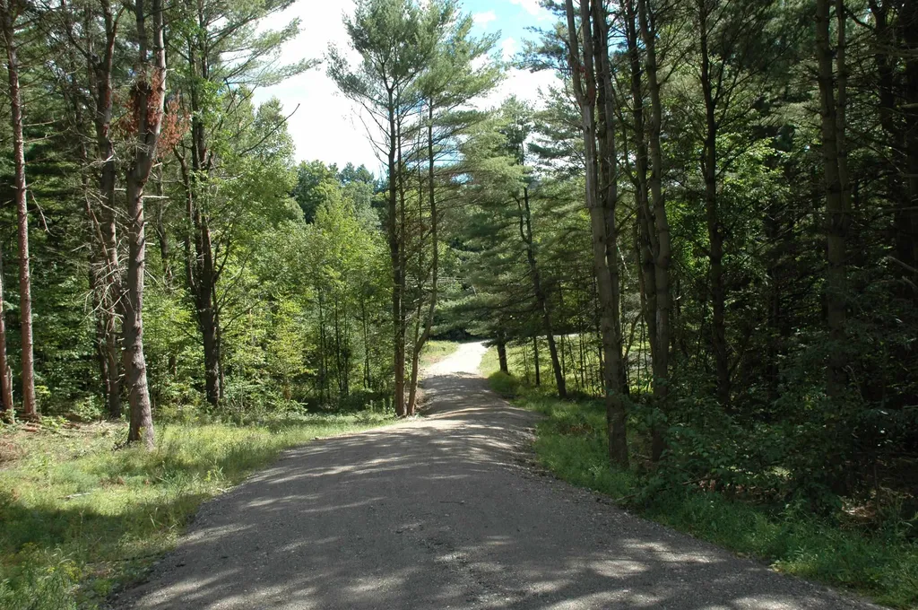 710 Herrick Brook Road Pawlet VT 05761