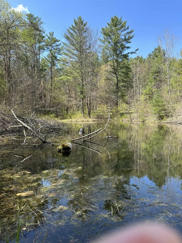 710 Herrick Brook Road Pawlet VT 05761