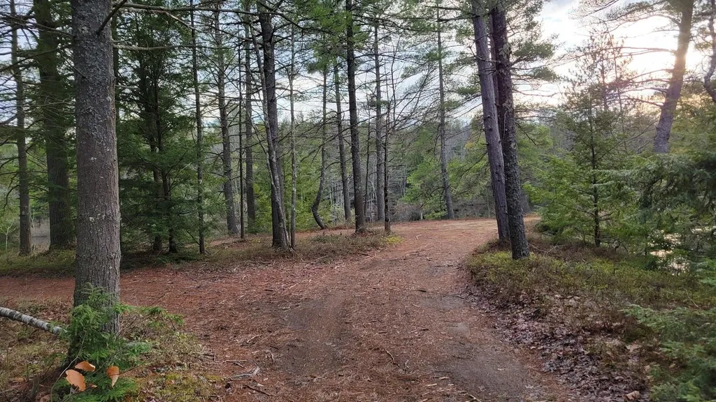 Lot 34-1 Sandy Point Road Barnstead NH 03225