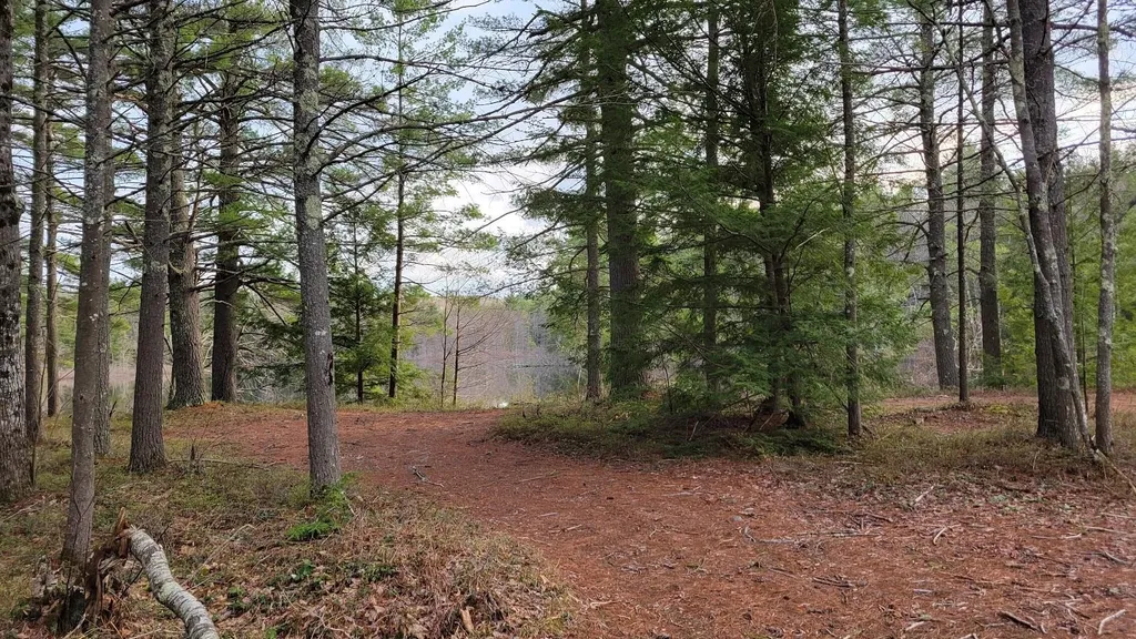 Lot 34-1 Sandy Point Road Barnstead NH 03225