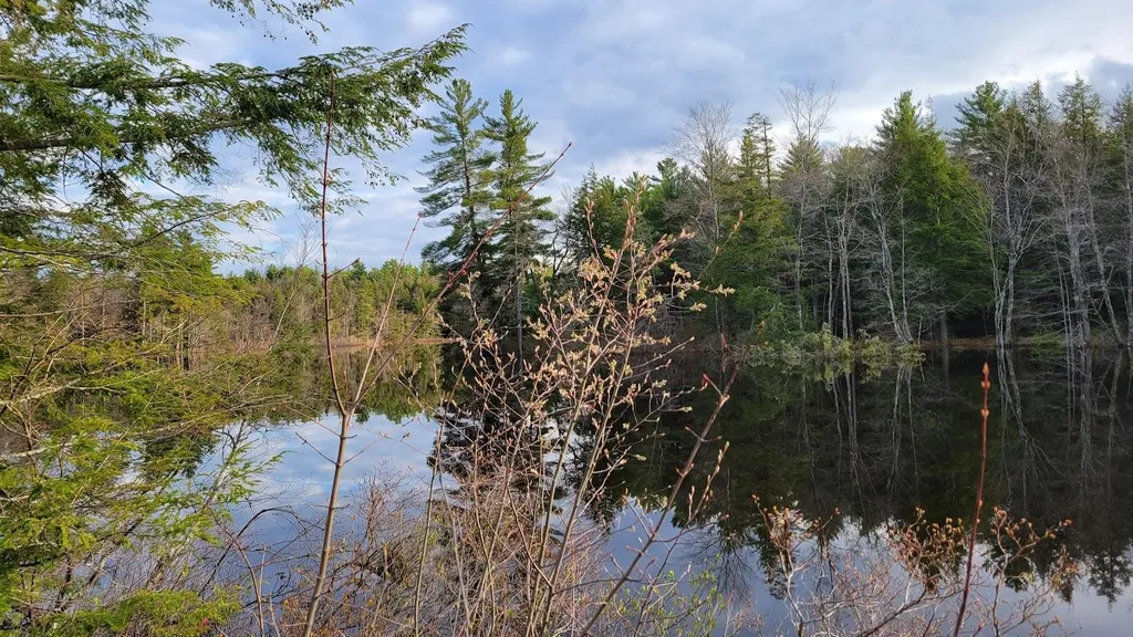 Lot 34-1 Sandy Point Road Barnstead NH 03225