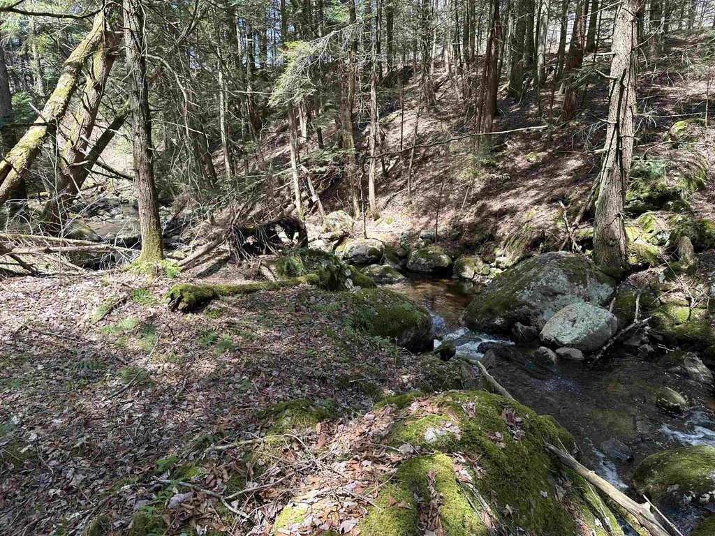 354 Billings Farm Road Ripton VT 05766