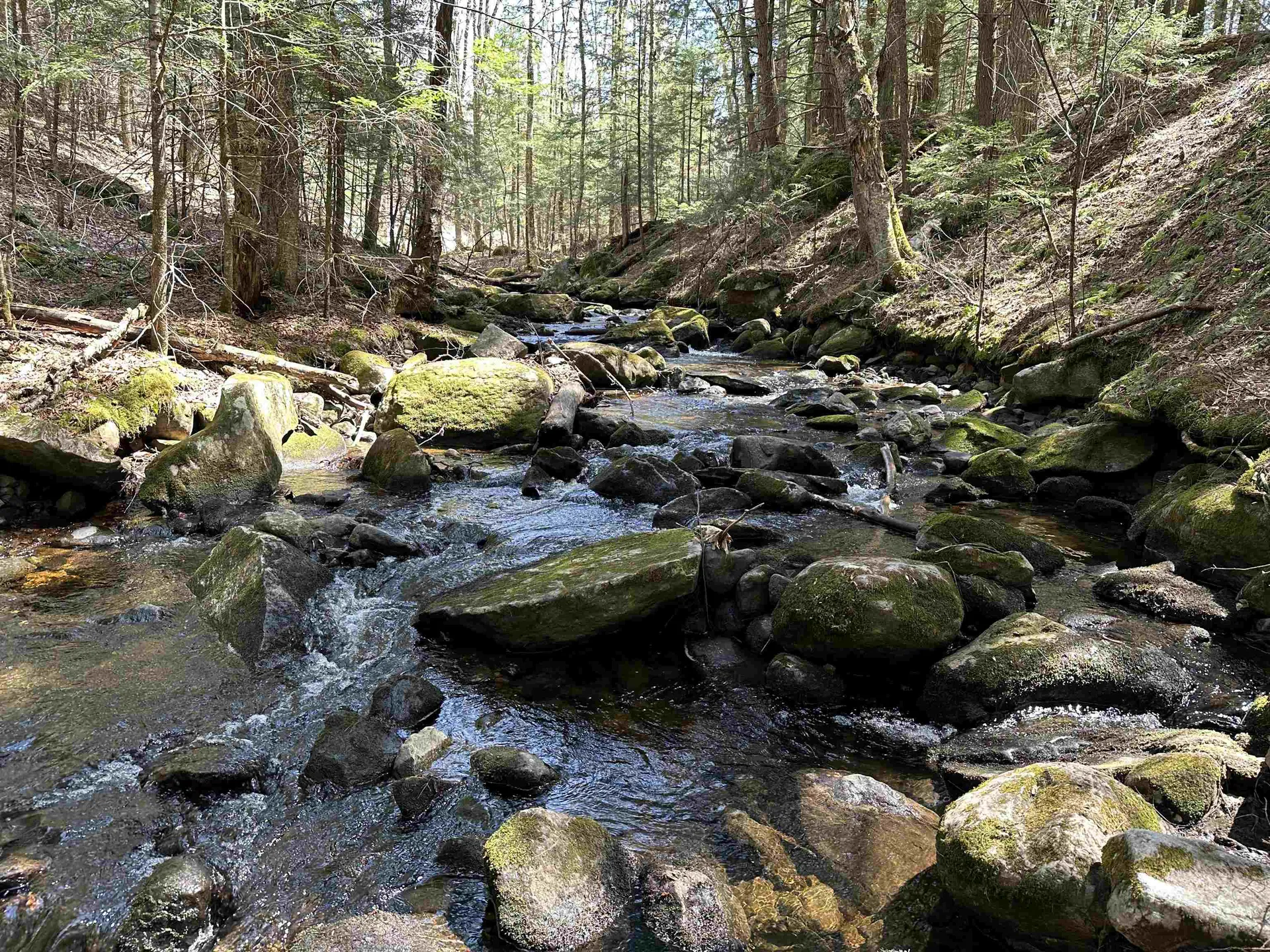354 Billings Farm Road Ripton VT 05766