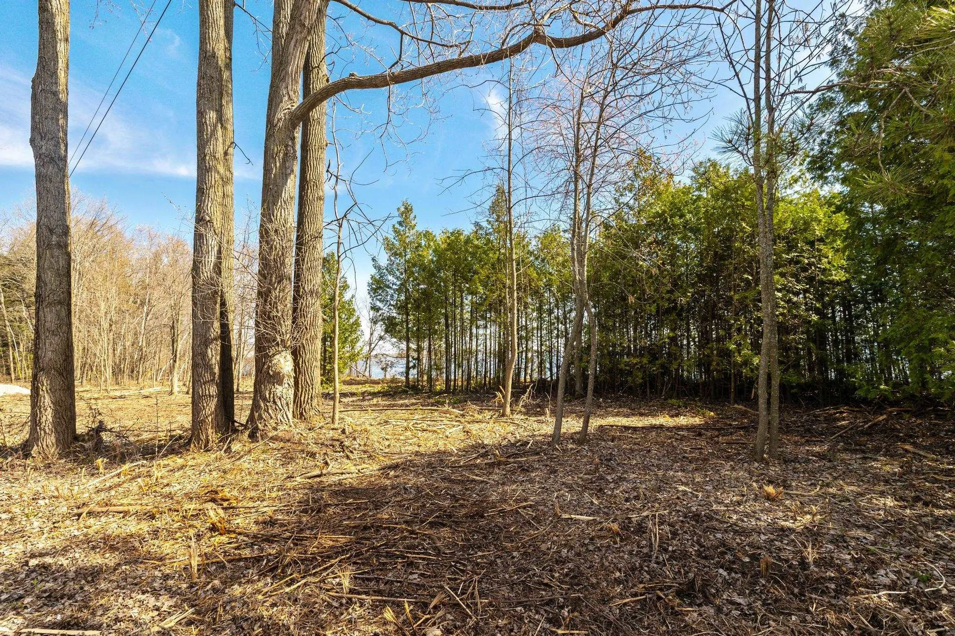 71 Fiske Road Alburgh VT 05440