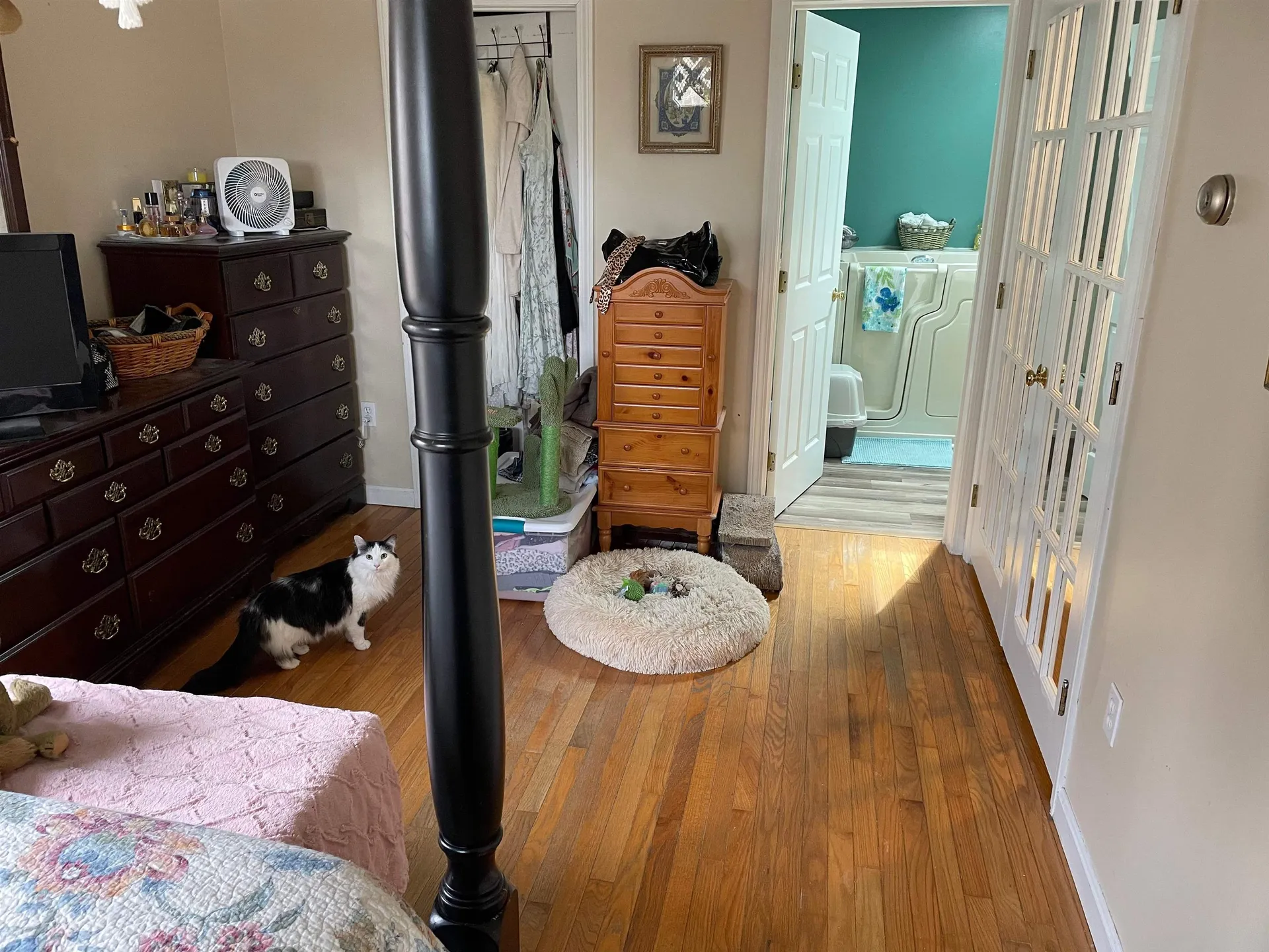305 Getz Road Williamstown VT 05679