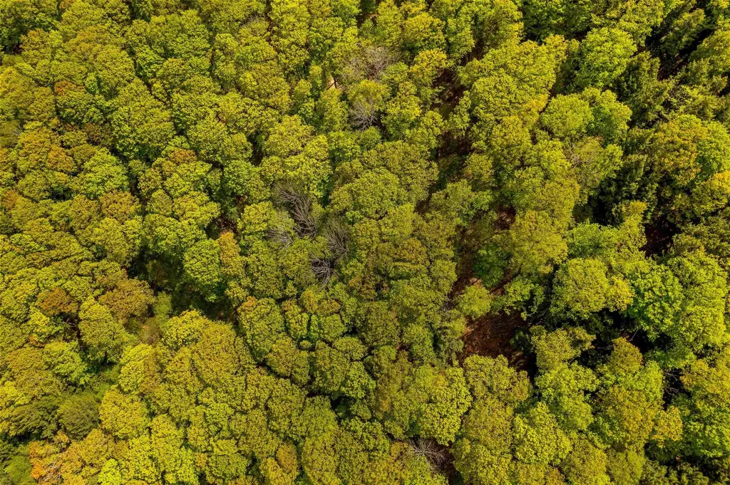 59 Goodwin Hill Road Tunbridge VT 05077