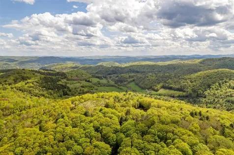 59 Goodwin Hill Road Tunbridge VT 05077