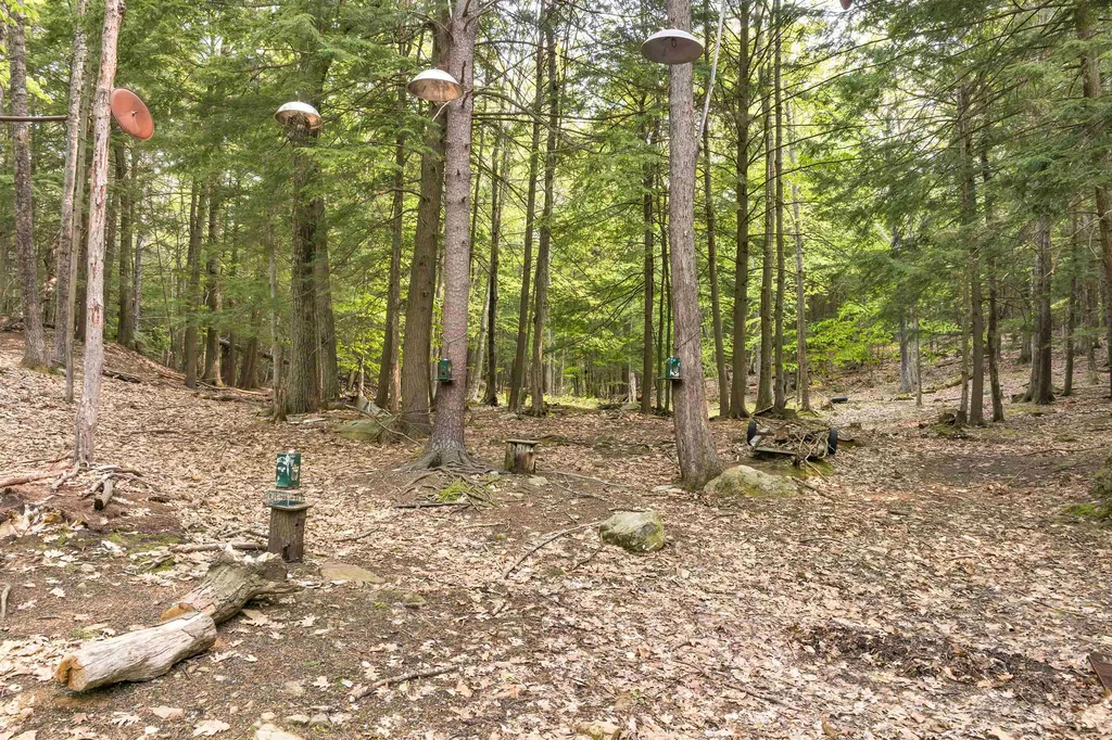 227 Durrell Mountain Road Belmont NH 03220