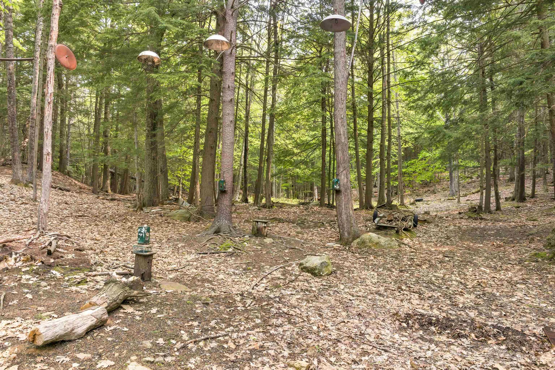 227 Durrell Mountain Road Belmont NH 03220