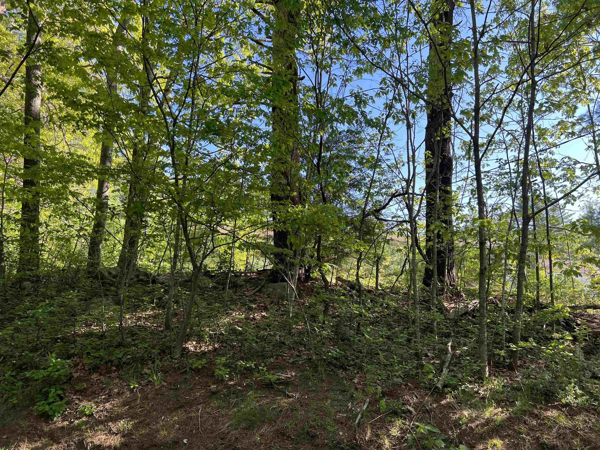 153 Brentwood Road Exeter NH 03833