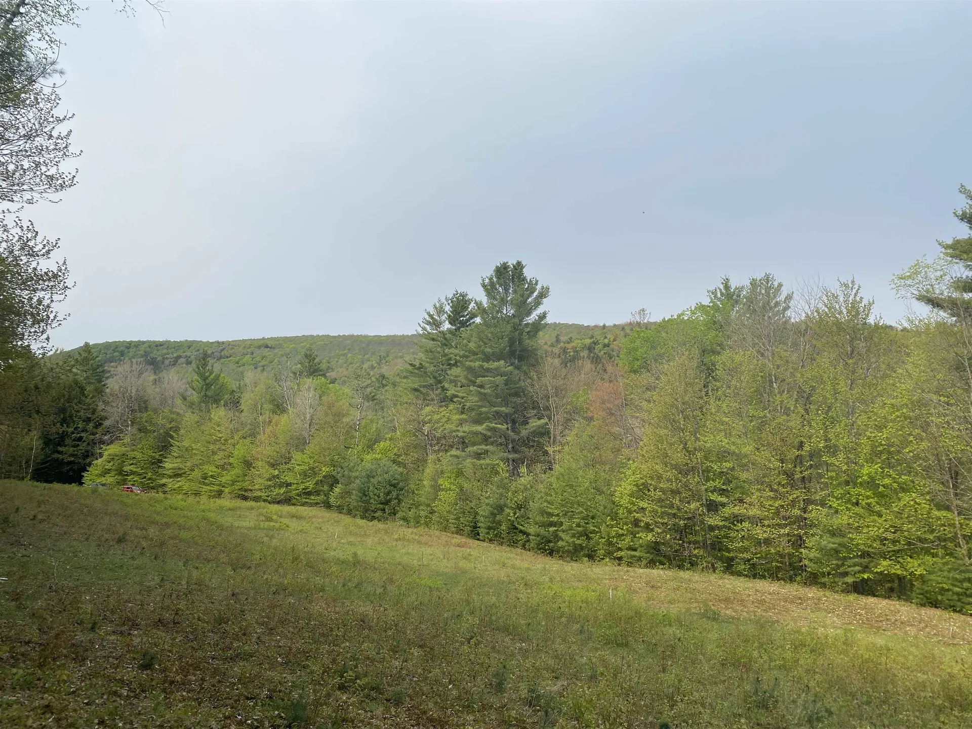 0 Winch Hill Road Roxbury VT 05669
