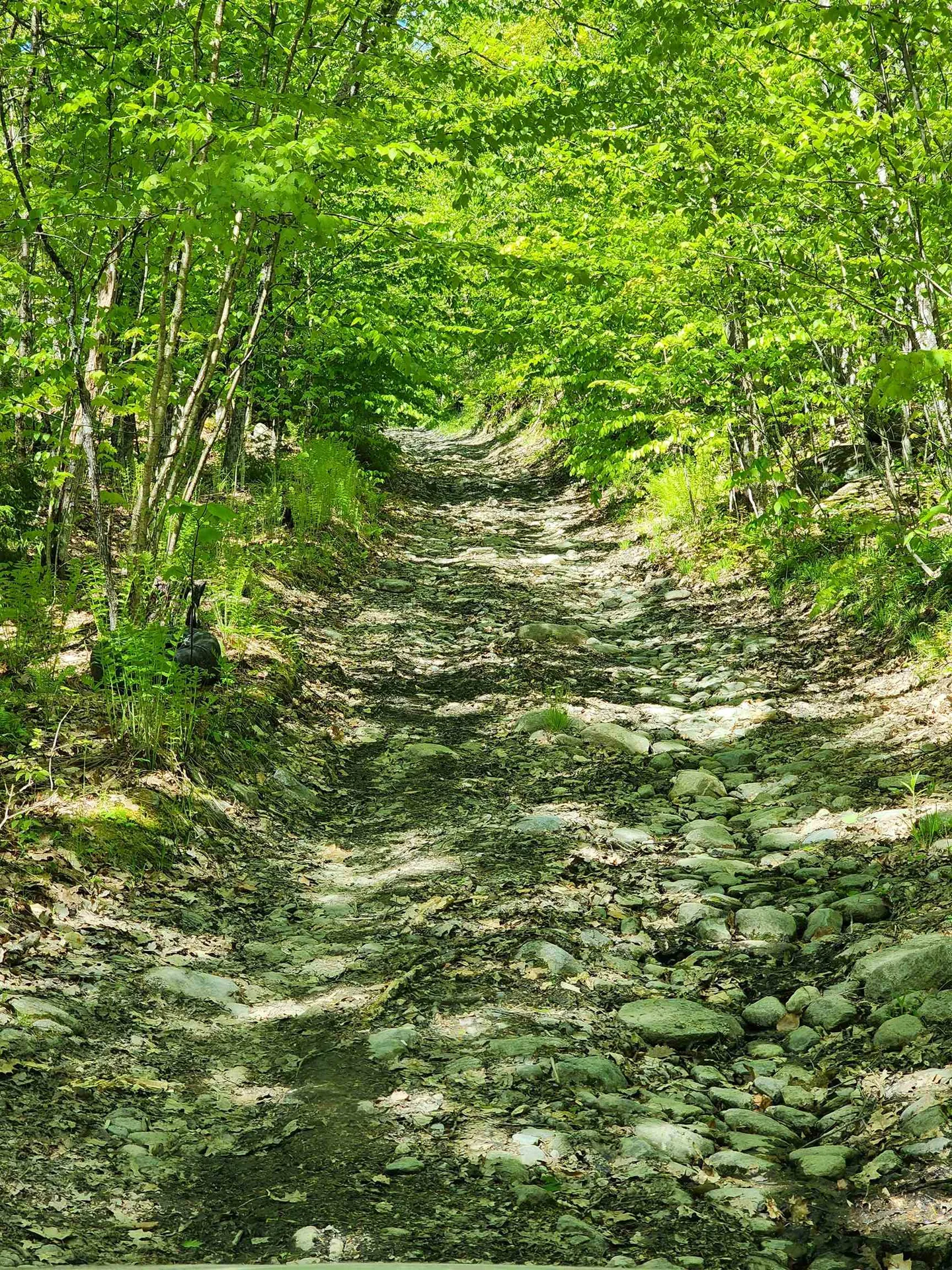 Potato Hill Road Unity NH 03603