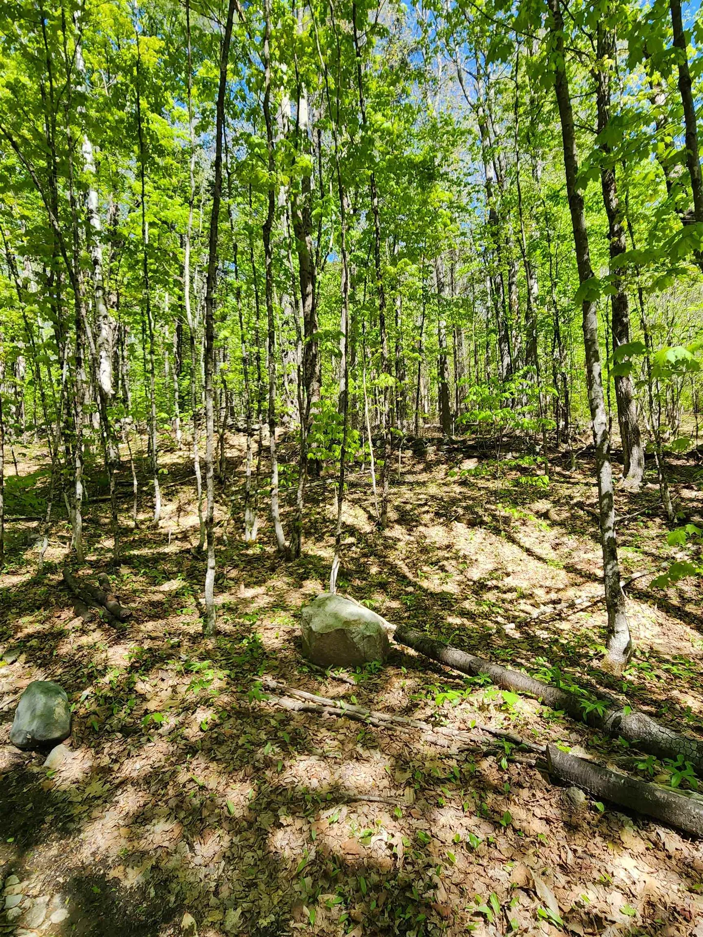 Potato Hill Road Unity NH 03603