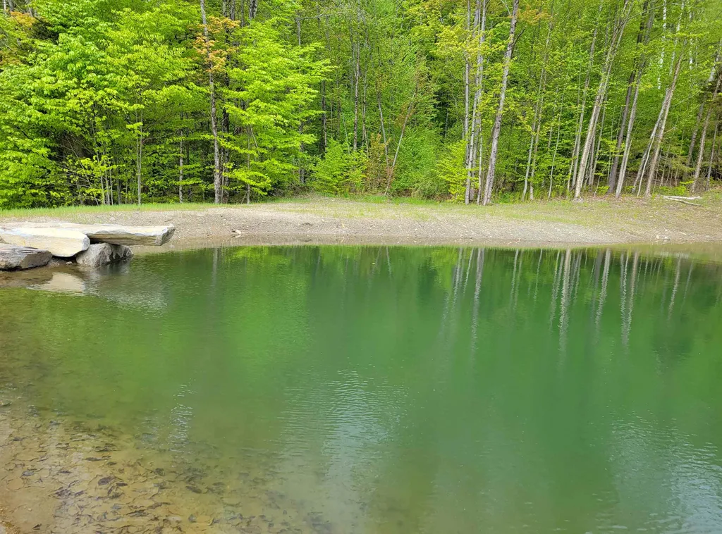 2664 Mt Hunger Road Barnard VT 05031