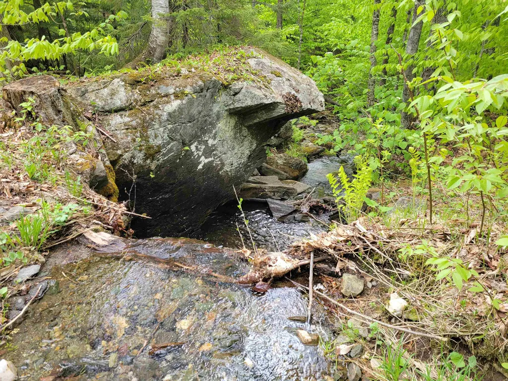 2664 Mt Hunger Road Barnard VT 05031