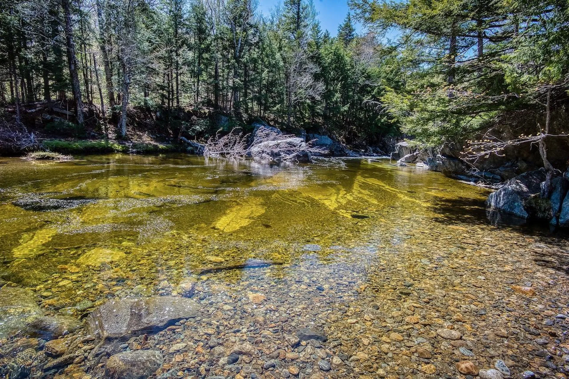 11 Dana Place Road Jackson NH 03846