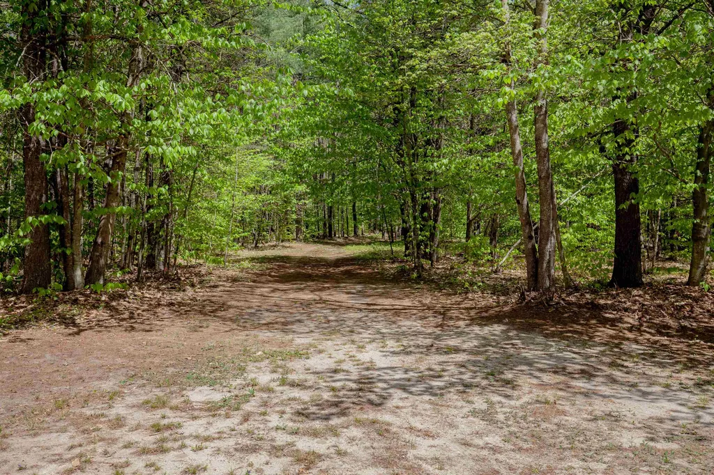 111 Green Mountain Road Effingham NH 03882