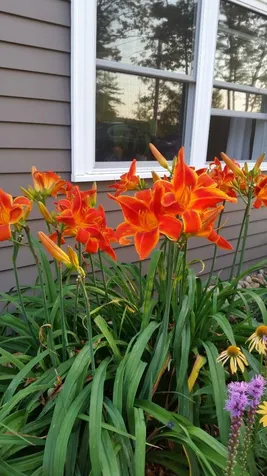 279 Province Road Barnstead NH 03218