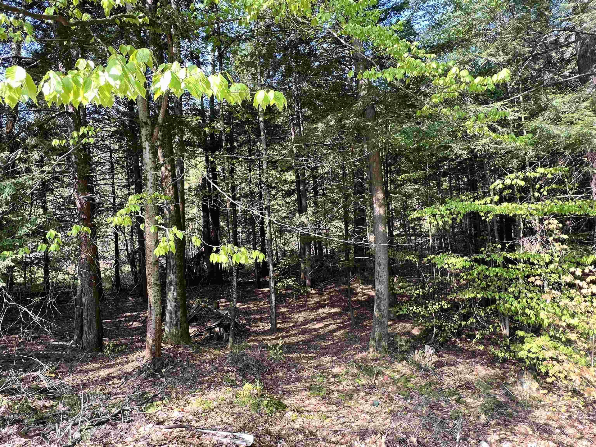 239 Quechee Road Hartland VT 05048