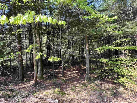 239 Quechee Road Hartland VT 05048