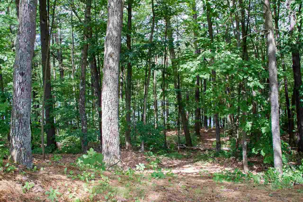 15 Ardon Drive Hooksett NH 03106