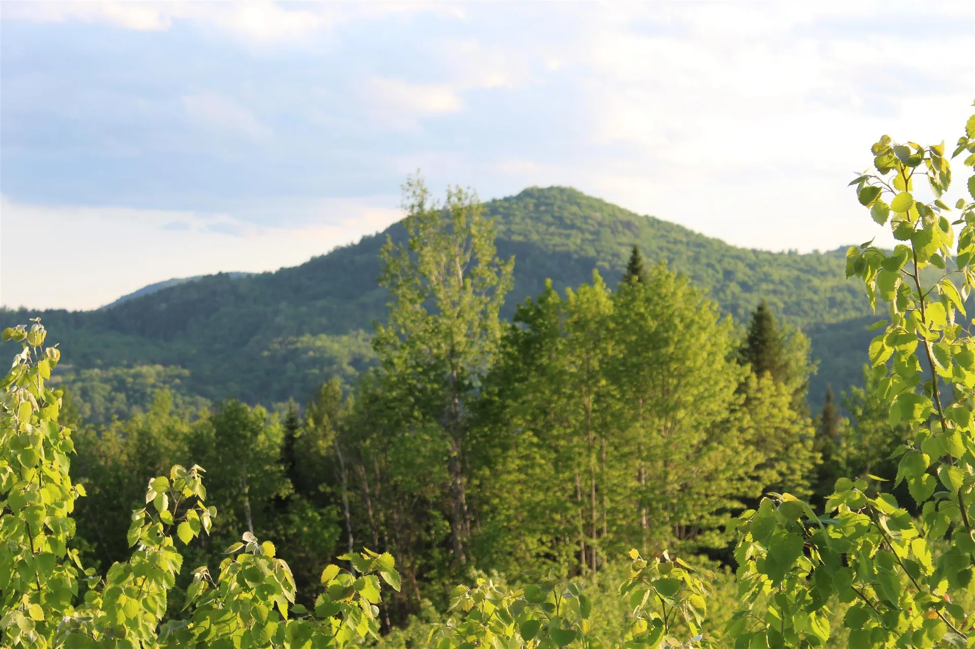 0 Town Line Road Stratford NH 03590