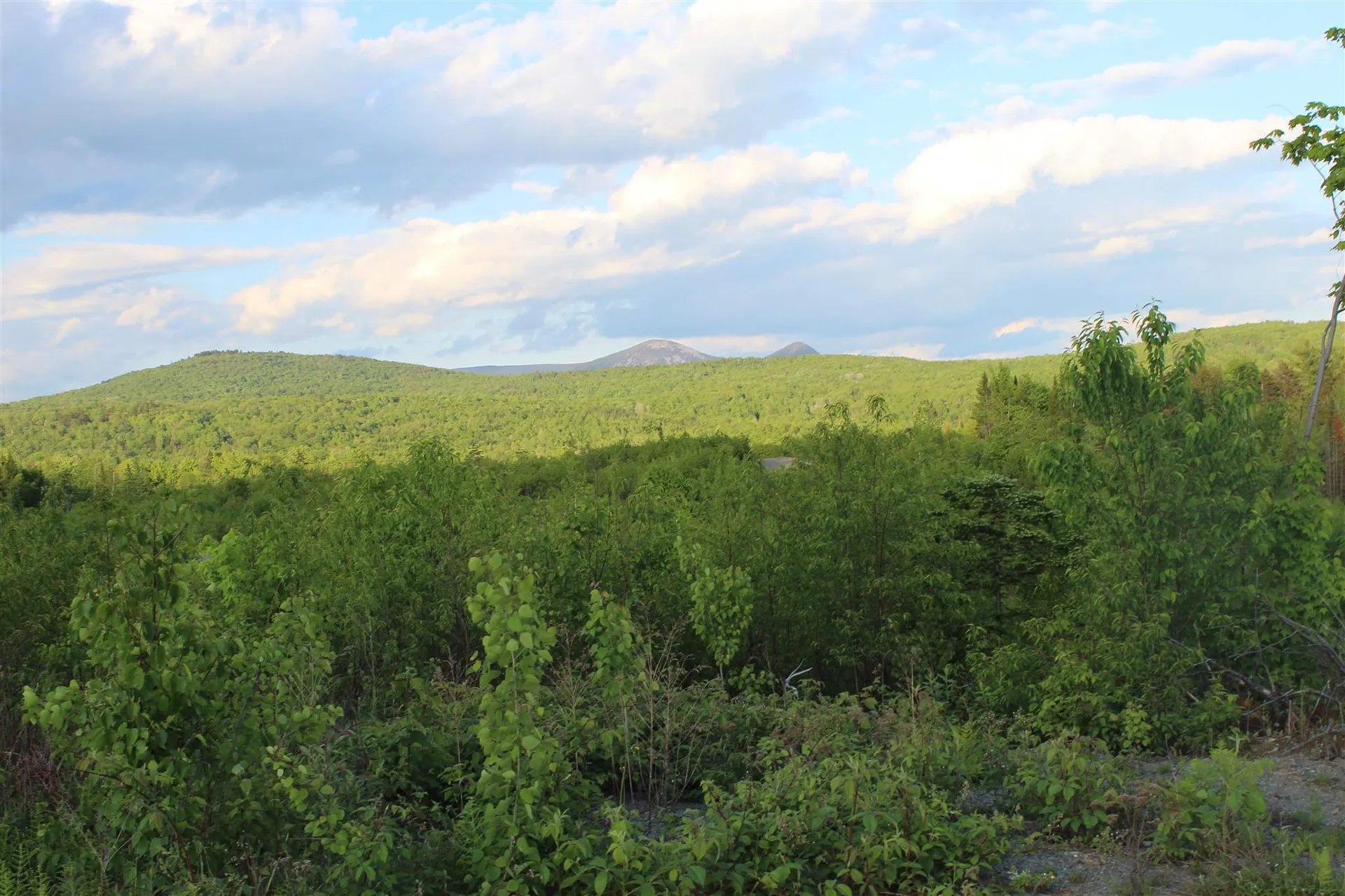 0 Town Line Road Stratford NH 03590