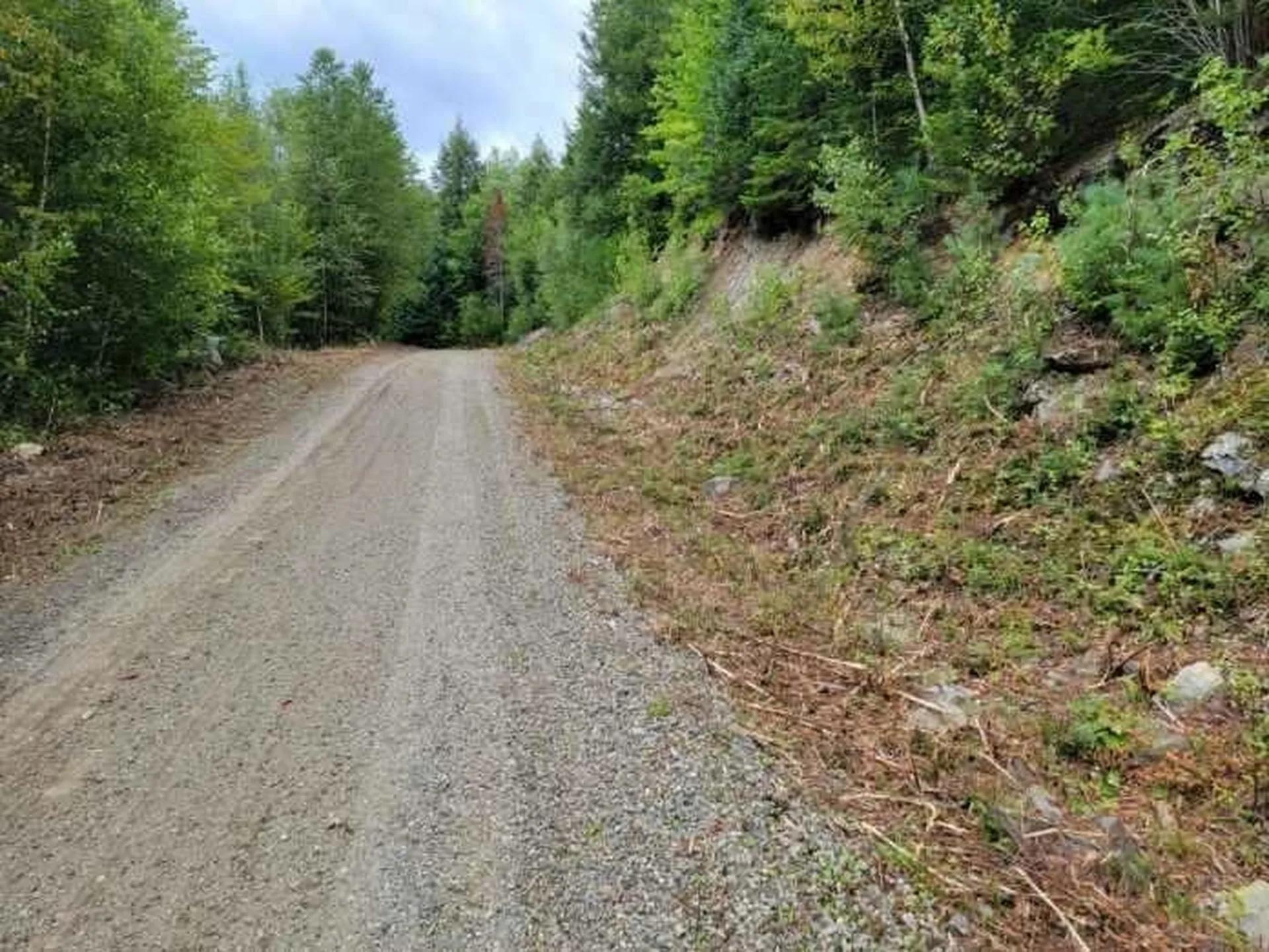 0 Town Line Road Stratford NH 03590