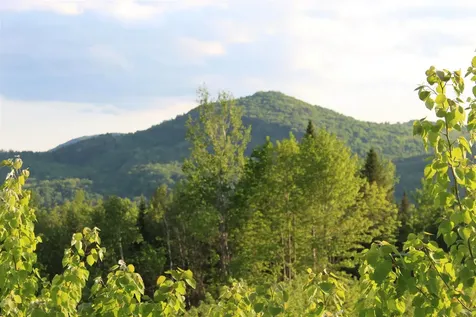 0 Town Line Road Stratford NH 03590